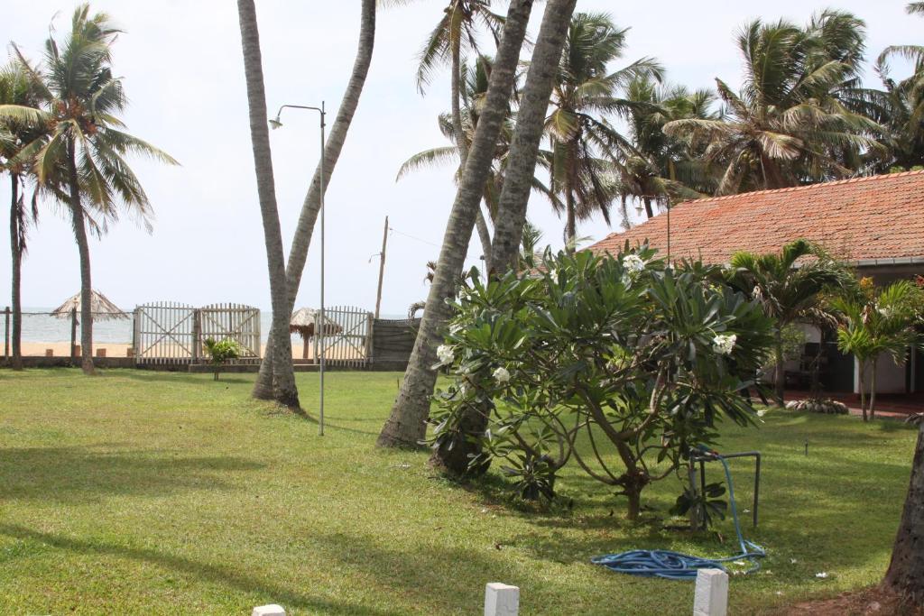Ceylonica Beach Hotel Negombo Luaran gambar