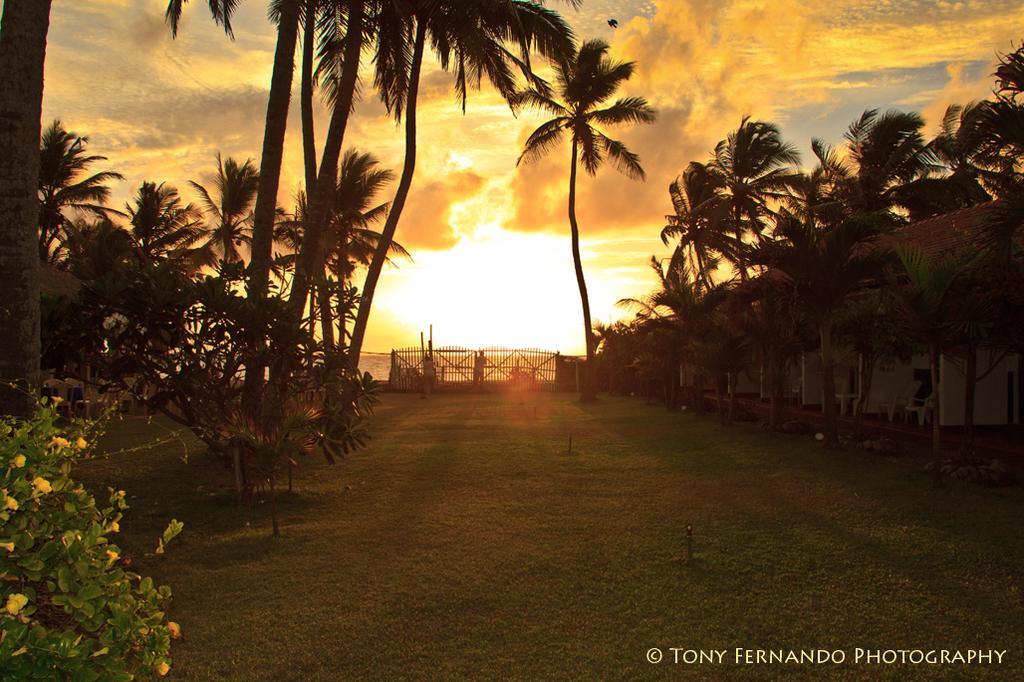 Ceylonica Beach Hotel Negombo Luaran gambar